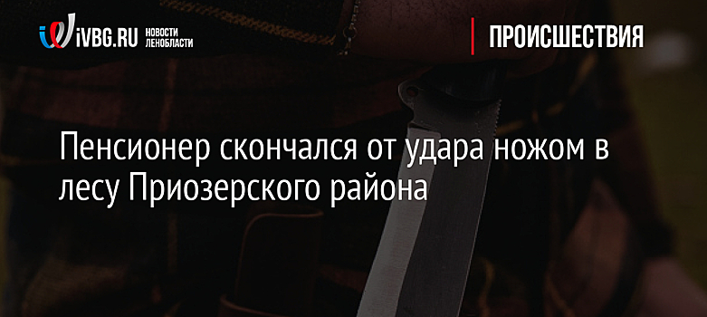 Пенсионер скончался от удара ножом в лесу Приозерского района