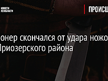 Пенсионер скончался от удара ножом в лесу Приозерского района