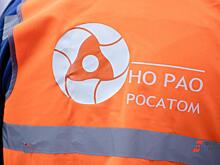 «Зеленая» энергия обходится дорого: Росатом просит из бюджета 150 млрд рублей