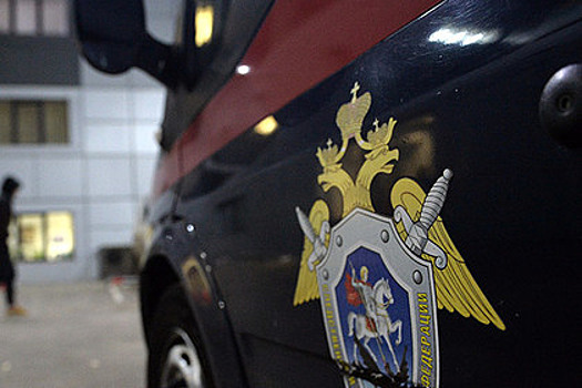 Главу фирмы-реставратора Константиновского дворца объявили в розыск