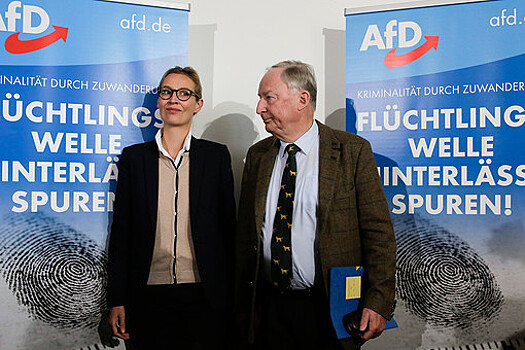 Сопредседатель партии "Альтернатива для Германии" Вайдель назвала евро "умирающей валютой"