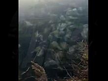 «Как в фильме ужасов»: озеро, полное черепов, нашли в Приморье