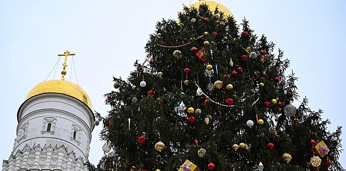 Из древесины Кремлевской ели изготовят клюшки, Фетисов вручит их юным хоккеистам: «Жизнь главного новогоднего символа страны продолжается»