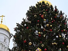 Из древесины Кремлевской ели изготовят клюшки, Фетисов вручит их юным хоккеистам: «Жизнь главного новогоднего символа страны продолжается»