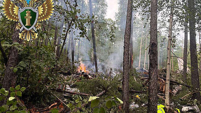 Минлесхоз Амурской области потребовал с "Ангары" более 500 тысяч рублей