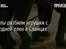 Вандалы разбили игрушки с новогодней елки в Сланцах