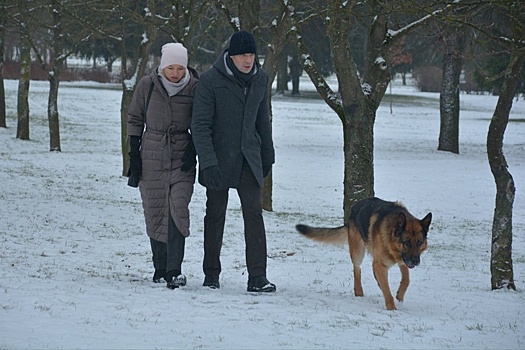 В России снимут продолжение "Мухтара"