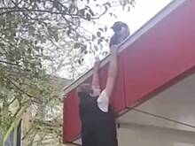 Российские подростки спасли кота с крыши здания и попали на видео