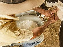 Россия вошла в 20 стран-лидеров по продуктивности коров