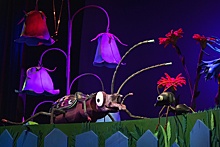 В Театре кукол Образцова пройдет премьера спектакля "Приключения муравья"