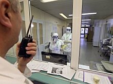 В клубе "Валдай" обсудили, станет ли БРИКС сильнее после пандемии