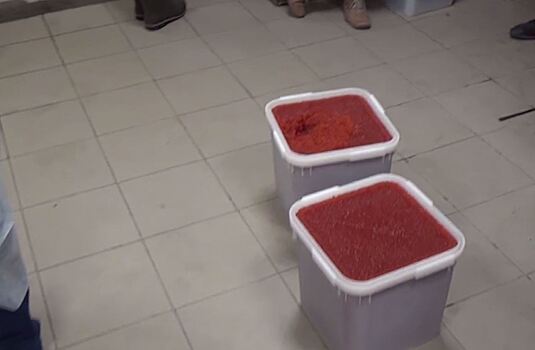Полиция изъяла 3,5 тонны контрабандной красной икры на Камчатке