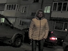 Житель Южно-Сахалинска снял на камеру уничтожение автомобиля топором