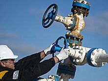 В WWF рассказали, какие сведения чаще всего скрывают нефтяные компании