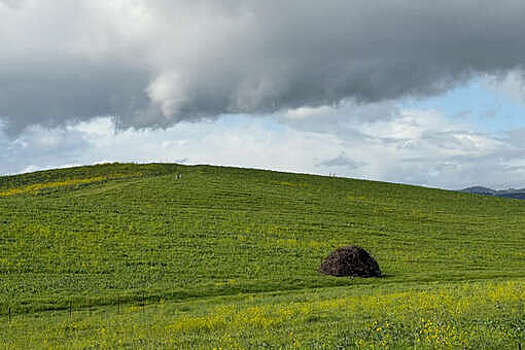 В сети появилось фото холма "Безмятежность" из Windows XP спустя 30 лет