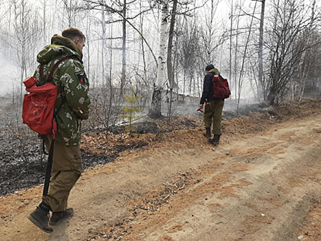 Лесопожарные формирования потушили пожар за городским кладбищем в Чите