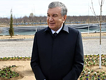 Мирзиёев посетил большой интенсивный сад в Намангане