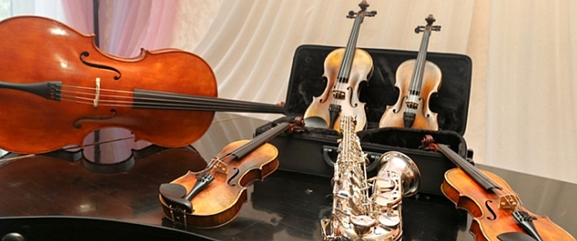 Музыкальные школы Нижнего Новгорода получили средства на покупку инструментов