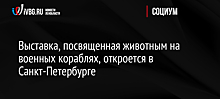 Выставка, посвященная животным на военных кораблях, откроется в Санкт-Петербурге