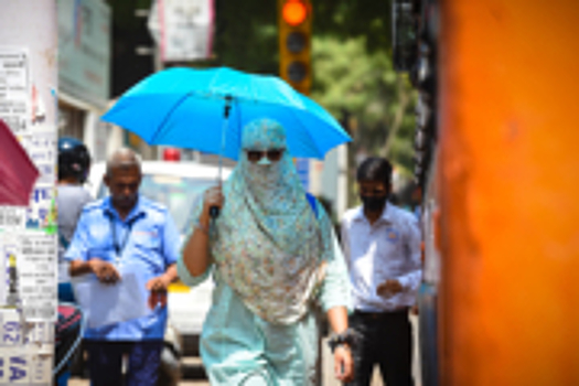 Экстремальная жара заставила Индию разработать новый план выживания