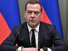Медведев: Западные бренды «щупают почву» в России