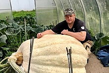 Рекорд России: как подмосковный фермер вырастил тыкву весом почти 700 килограммов
