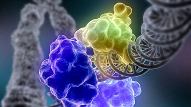 Ученые раскрыли влияние альдегидов на развитие рака