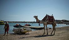 Вернувшимся из Египта в Россию туристам понадобится пройти 15 досмотров