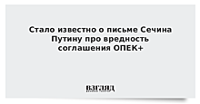 «Газпром нефть» и «Татнефть» стали лидерами сокращения добычи в январе в рамках сделки ОПЕК+