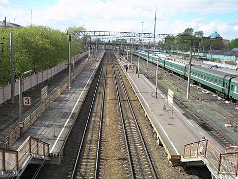 Станцию ОЖД Рижская закроют почти на 10 месяцев с 7 ноября