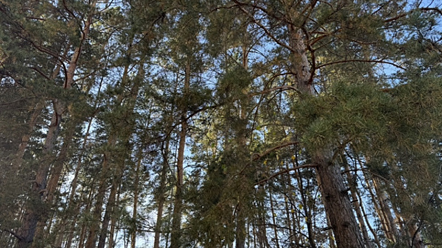 Народные приметы на 4 октября 2024 года: что нельзя делать в этот день