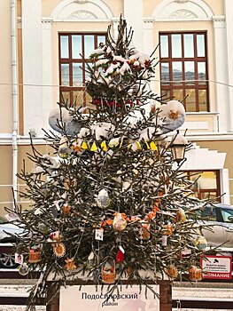 Подведены итоги конкурса на лучшую новогоднюю ель Кировской области