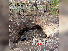 Соцсети: неизвестные обворовали погреба в Кемерове