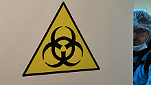 Ученые предупредили об опасности возникновения новой эпидемии чумы