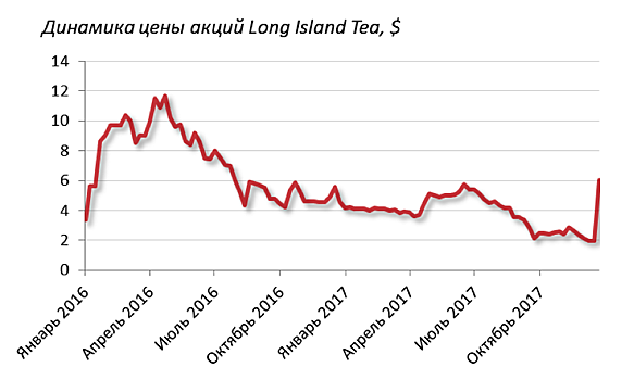 Новые идолы: какие формы принимает криптовалютное безумие
