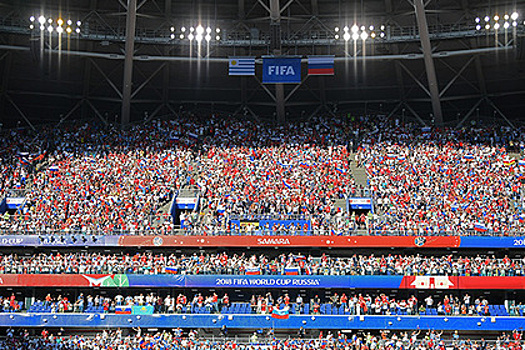 ЛДПР поддержала продажу пива на стадионах