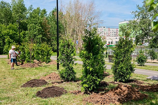 В Нижнем Новгороде идет масштабное компенсационное озеленение города