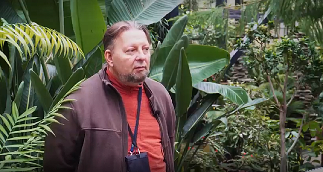 Директор Ботанического сада рассказал о том, как работы в парке «Швейцария» влияют на здоровье деревьев