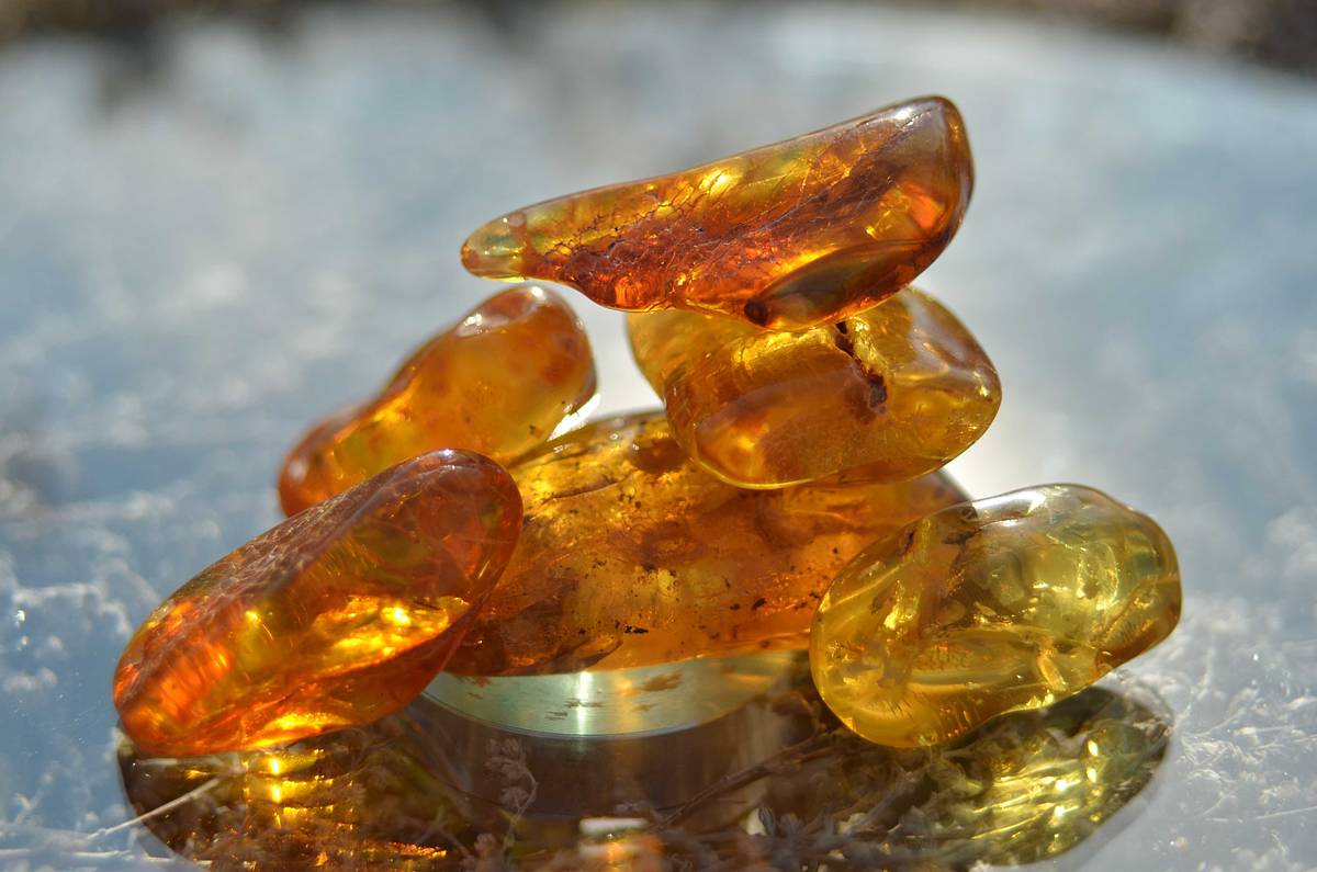 Контрабандисты с беспилотником попались на переправе российского янтаря в Европу