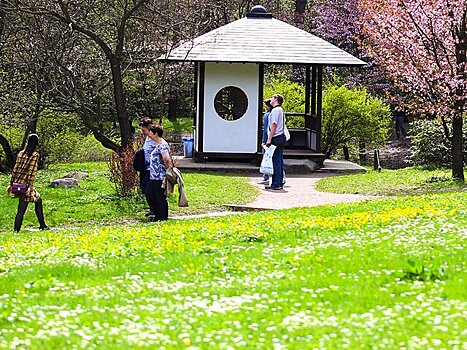 Эксперт рассказала о самых интересных участках Зеленого кольца Москвы