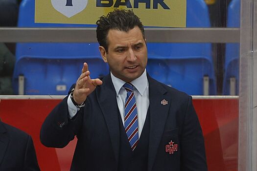 Р. Ротенберг: я готов подать заявление в правоохранительные органы на судейство в хоккее