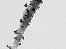 Наночастицы серебра помогут бороться с биопленками опасных бактерий