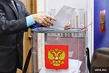 В Подмосковье пожаловались на неудобство выборов