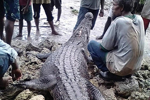 Крокодилу-людоеду отомстили за убийство человека