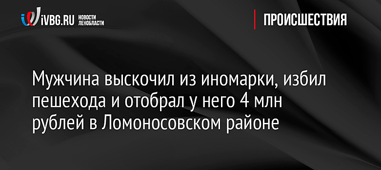 Мужчина выскочил из иномарки, избил пешехода и отобрал у него 4 млн рублей в Ломоносовском районе