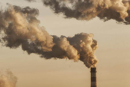 В ООН призвали все страны объявить чрезвычайное положение по климату