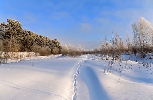 В начале декабря в Томской области ослабнут морозы