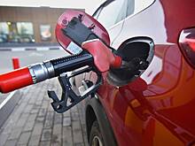 В России заявили о работе над стабилизацией цен на бензин