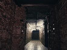 «Образцовый подвал» просят показать жителей Хабаровского края