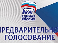 Праймериз под присмотром шпаны